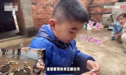 母亲爆料儿子找孩子视频,儿子涉嫌制作传播儿童色情视频